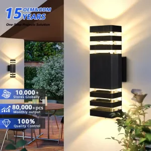 110V 220V 12W 24W Black Electric Waterproof IP65 Mounted External Modern Garden Up and Down Sconce Outdoor LED Wall Light
