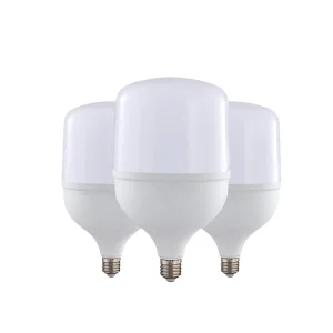 220v 110v LED Bulb E27 20w 30w 40w 50w Cold White Led Light Bulbs Lights
