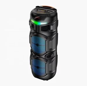 8-inch Dual for 5.0 Speaker Powerful Bass RGB LED Lighting Wireless Microphone Card Slot for Karaoke Parties
