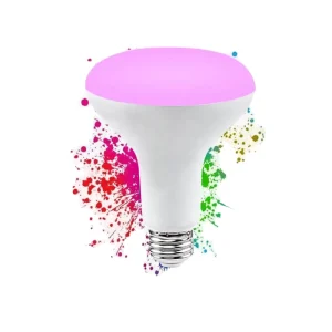 9W AC Powered LED Multi Color BR30 Smart Bulb Dimmable Wi Fi Controlled E27 Base PC Lamp Body PAR30 Type 2 Year Warranty