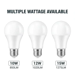 Big Globe A60 E27 LED Bulb 10W