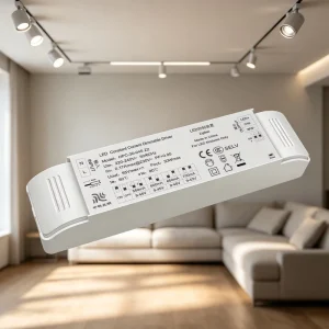 CCT Tunable White Tuya APP LED Electronic Transformer AC 220-240V to DC 12V 24V Zigbee Dimmable LED Lighting Driver