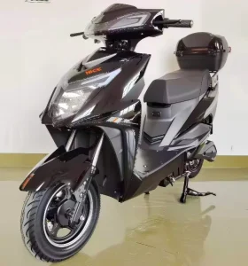 Electric Two wheel Scooter Brushless Motor 1000W Removable Lithium Battery 200kg Load Capacity App Control Smart E motorcycle