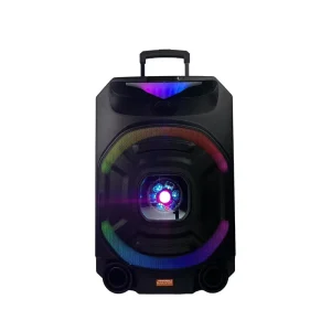 Factory Direct Portable Karaoke Trolley Speaker 15″ Woofer 80W Wireless BT TF/USB RGB LED Lights Party & Outdoor Singing