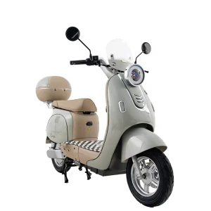 Fashion Design 240W 48V 20AH Electric Motorbike Price Lithium Electric Scooter Motorcycle for City Commuter