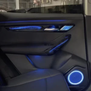 Galaxy Style Rainbow Symphony Dynamic Car Interior Ambient Light for VINFAST VF8