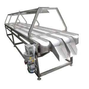 Inspection Table Conveyor Plum Nuts Palm Dart Inspection Conveyor Made of 304 Stainless Steel With LED Light