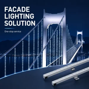 Outdoor Bridge Facade Lighting Solution Providers Custom Exterior 3D Decorative Landscaping Lights for Outdoor Bridge