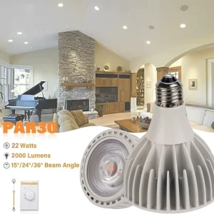 PAR30 Spotlight LED Bulb 22 Watt COB 2000 Lumens Dimmable E27 Base Recessed Mount Aluminum CRI90 20D 30D Beam Angle