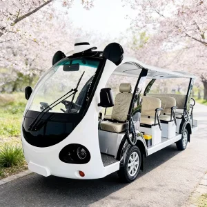 Panda Shape Electric Sightseeing Bus 14 Seats Lithium Iron Phosphate Battery Left Right Hand Drive for Theme Park Zoo
