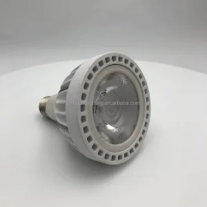Par30 30W Spotlight High Power Aluminum Housing Par 30 Light LED Spot Light Led Bulb