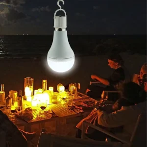 Rechargeable Led Light Bulb