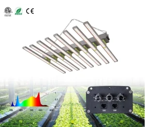 SMART LED Grow Lights 5x5ft with 4 Independent Control Channel Spectrum Tuning Plant Growing Lamp Freely Control White Red UV IR