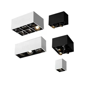Smart Modern Minimalist Surface Mounted Adjustable Angle LED Spotlights CRI 95 Dimmable for Living Room Home Downlights