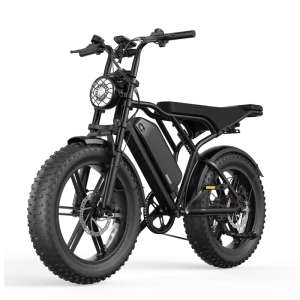 Super73 Style 750W Electric Motorcycle Adult 48V15Ah Fender 32km h Rear Rack Max Climbing 3° 7 Speed Derailleur Tst R002 Bike