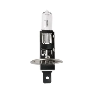 Xenon Halogen Bulbs White Light Car Halogen Bulbs Car Headlights H1 H3 H4 H7 9005 9006 9007 880 881 H8 H9 H10 H11 H13 H15 H16 H2